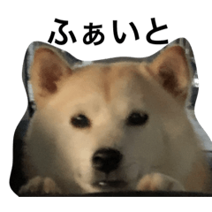 mocomoco_20221226204401