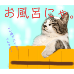 chisa_20221226222845