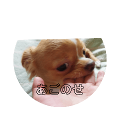 aoi_20221226175000