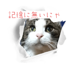 kaede_20221227004302