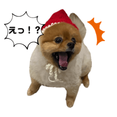 Hikari_20221227002449