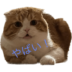 Omochi_20221226225625