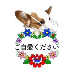 Dan_20221226182142