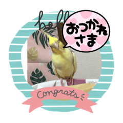 junko_20221227012921