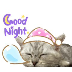 omochi_20221226231359