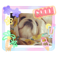 omochi_20221227121216