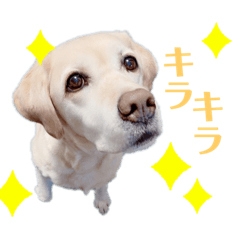 tomomi_20221227130830