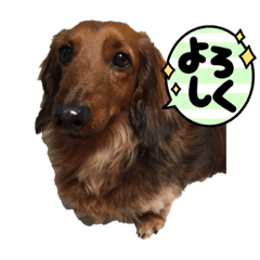 saori_20221227100629