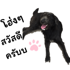 Oraya_20221227122841