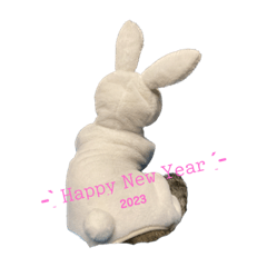 SAK_20221226201522