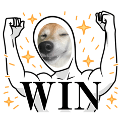 scoop_20221228090028