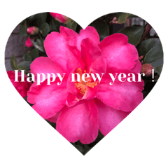 saori_20221227182750