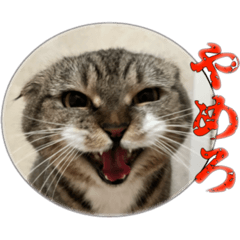 Mizuki_20221227163238