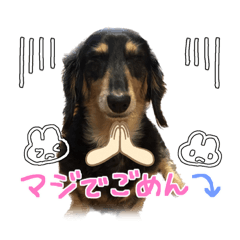 Rain_20221227180843