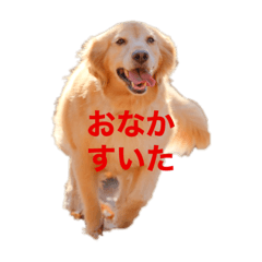 Tom_20221227203847