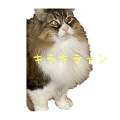 omochi_20221227215525