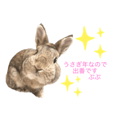 alice_20221227230001