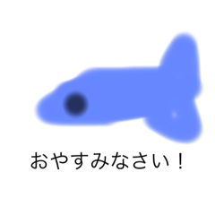 不思議な魚たち