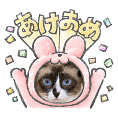 misa_20221228015050
