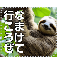 Sloth Sloth Sloth Sloth