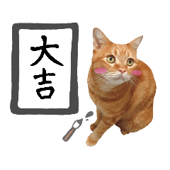 hknの日常3(文字あり )