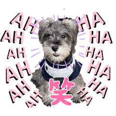 くるみとむぎ③