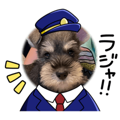 Yukari_20221227214128