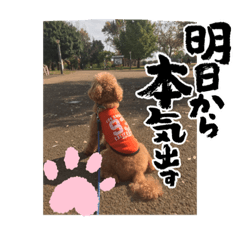 peco_20221228011614