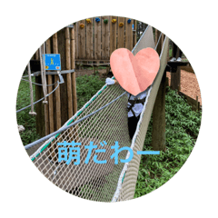 Hana_20221227201520