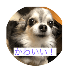 shin_20221228130111