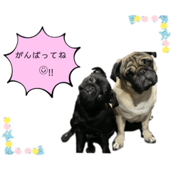 rina_20221227233800