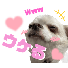 kaede_20221228121850