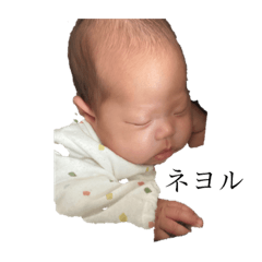ssm_20221228135651