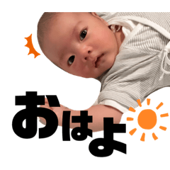 shiho_20221228001222