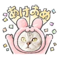 mano_20221228135827