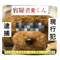 ask_20221228124609