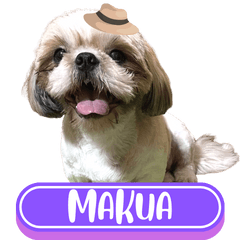 WOOFME WITH MAKUA