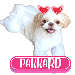 WOOFME WITH PAKKARD