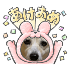 HANA_20221228154030