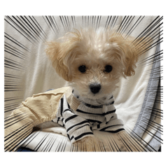 tono_20221228153434