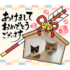 misa_20221228172349