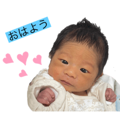 suzu_20221228181213