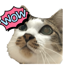 Touchkhun Asavakosri_20221228170331