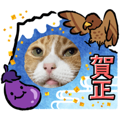 yun_20221229072649
