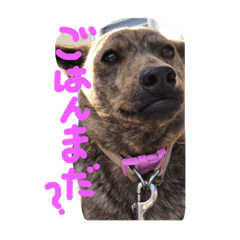 kichi_20221229012705