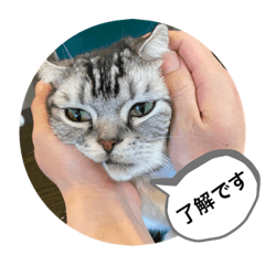 omochi_20221229012217