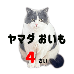 Honjitsu no Oimo-san Stamp 4