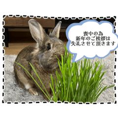 ychan1226_20221229100737