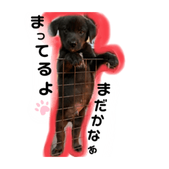 arisa_20221229134901