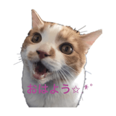 yuka_20221229130129
